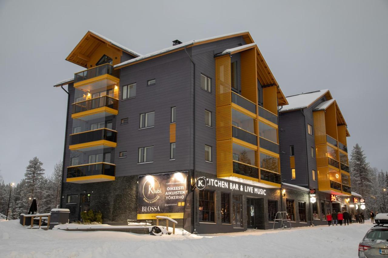 Levin Kunkku B2 Apartment Grey Exteriér fotografie